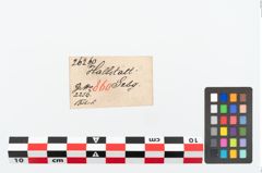 Etikett zu Bronzekahnfibel (NHMW-PRAE-026260)